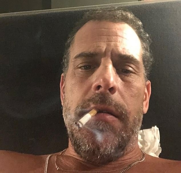 Image in @MarioNawfal's post: 🚨BREAKING: Hunter Biden To Plead Guilty To 3 Federal Charges