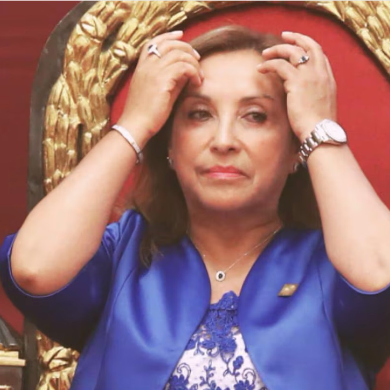 Image in @MarioNawfal's post: 🚨🇵🇪PERU'S PRESIDENTIAL PAD RAIDED FOR ROLEX WATCHES
President Dina Boluarte's residence was storme…