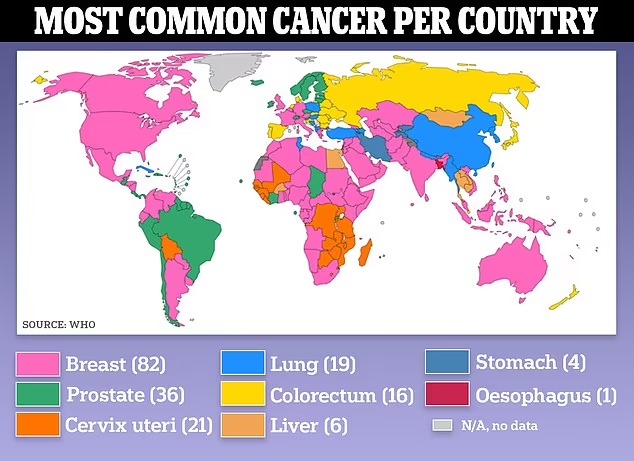 Image in @MarioNawfal's post: CANCER CASES TO SOAR BY 80%
Cancer is projected to rise from 20 million cases in 2022 to over 35 m…