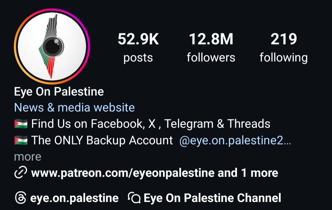 Image in @xIsraelExposedx's post: Update: We have submitted the entire 'Eye on Palestine' archive (around 270 GB) to the ICC, Hind Ra…