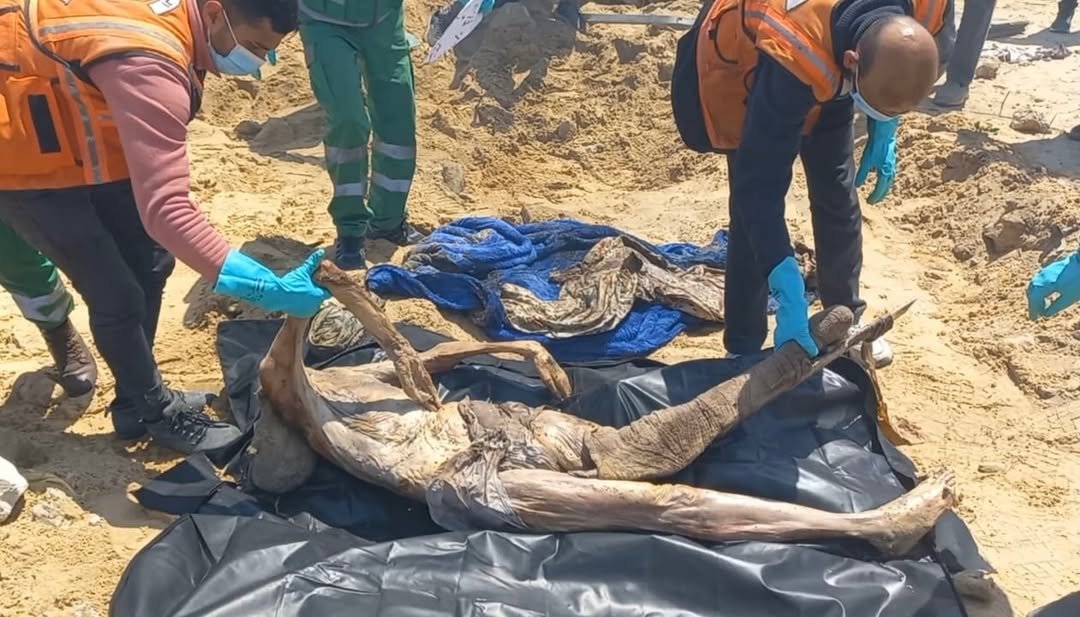 Image in @xIsraelExposedx's post: Digging up mass graves of executed civilians at Al Shifa Hospital. Horrific crimes. https://t.co/GO…
