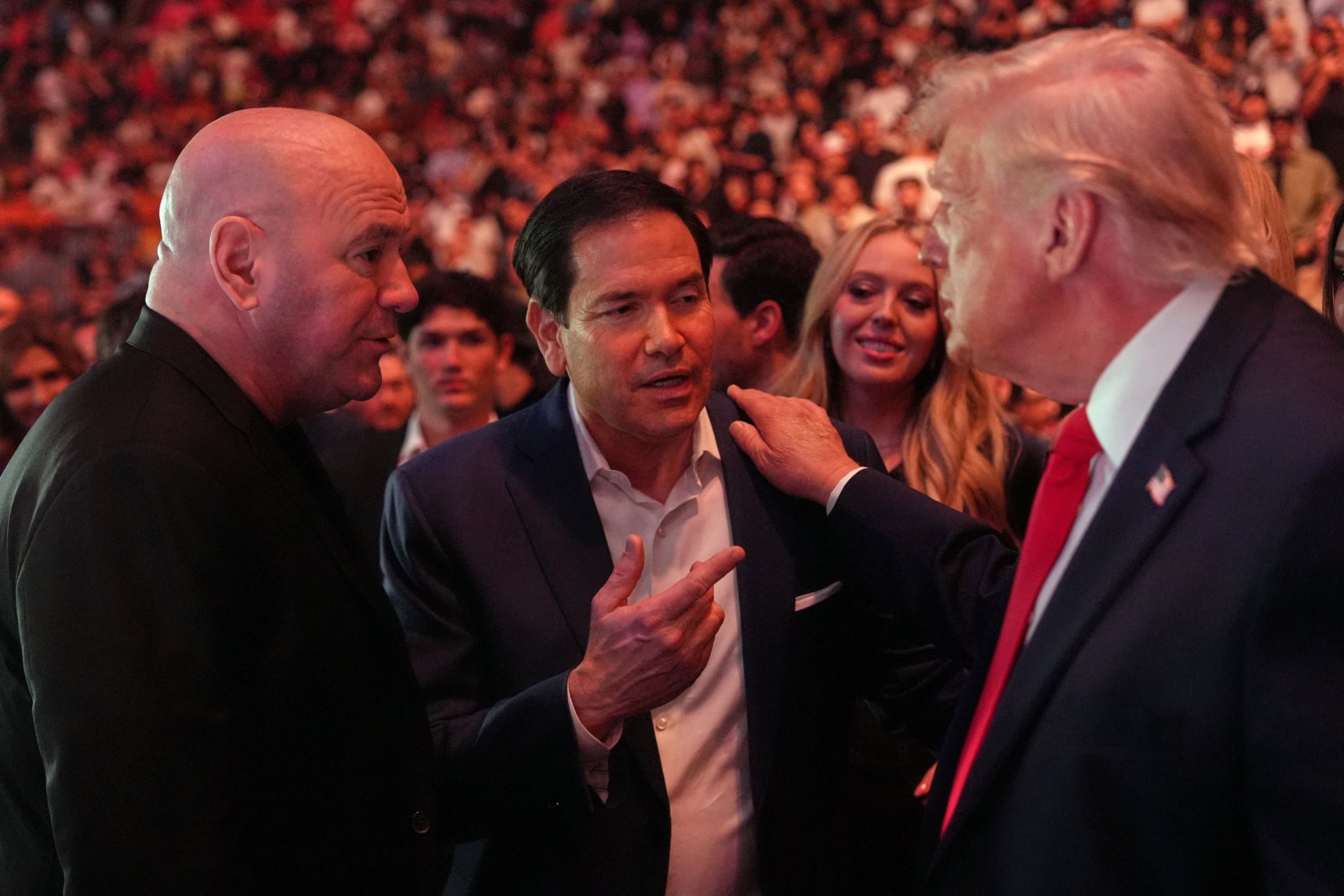 Image in @sneako's post: Marco Rubio our secretary of state looks drunk at a UFC fight while Trump's handlers, Jared Kushner…