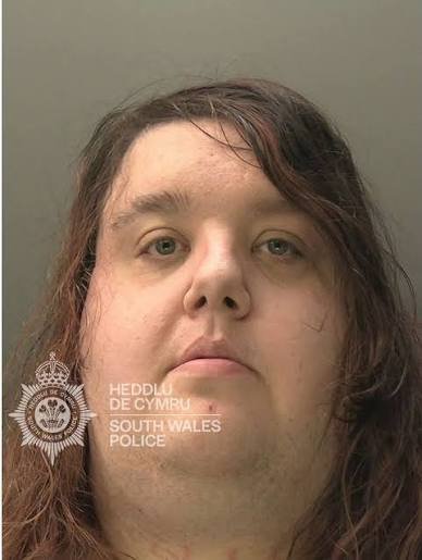 Image in @IfindRetards's post: Trans pedo Scarlett Lee found with 80+ animated CSAM images of adults abusing kids last year. Now c…