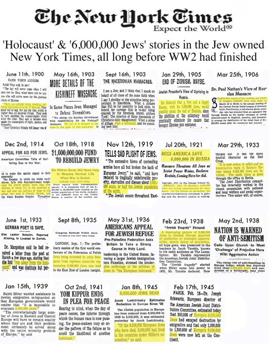 Image in @slice12349876's reply: @RabbiJeffx @DanBilzerian @shaunking ask @grok about holo hoax ?? tells ne==me the jew involve…