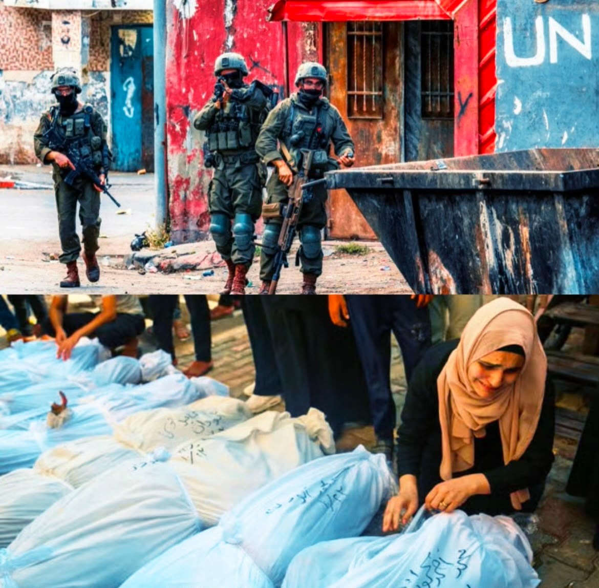 Image in @MarioNawfal's post: 🇮🇱 The IDF DIDN'T SAY A WORD about 254 cases it said it was investigating over alleged killings or …