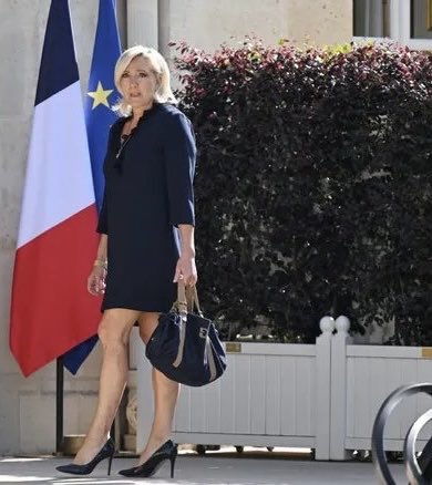 Image in @WestSupremacist's reply: @MarioNawfal Brussels be ready, she’s coming and it will be a systematic "no" to everything you wer…